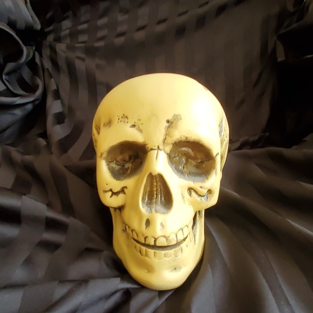 Faux Human Skull